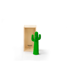 Cactus-Miniatura