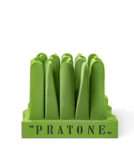 pratone-verde-3-1